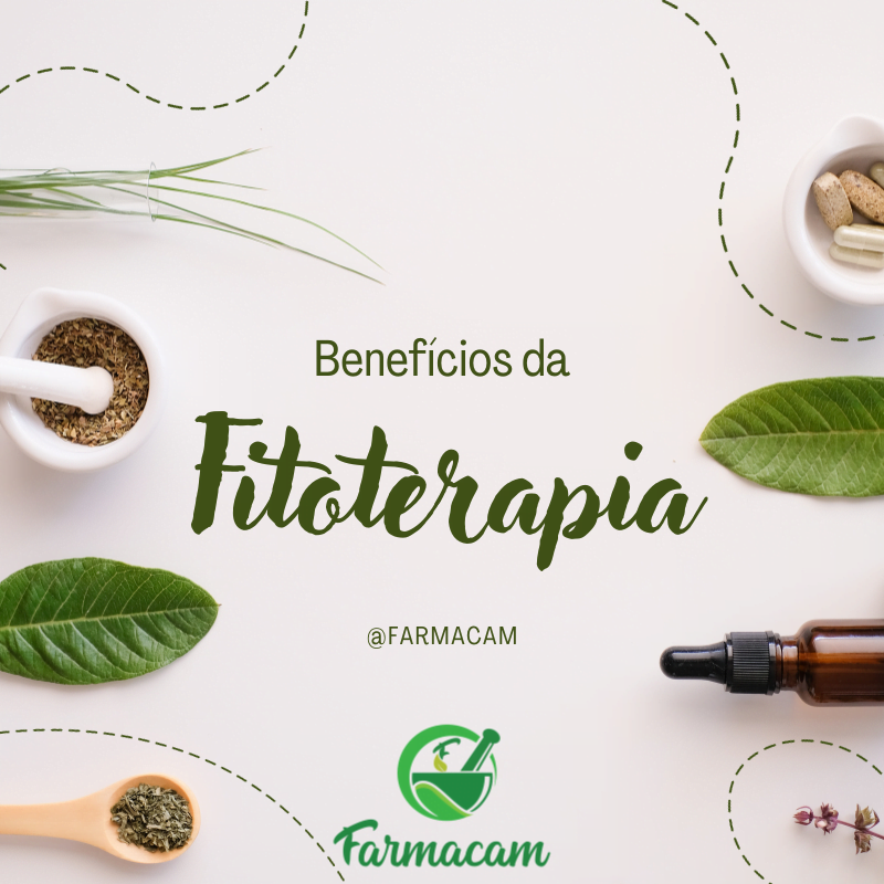 Fitoterapia O Poder Das Plantas Medicinais Para A Sua Sa De Farmacam